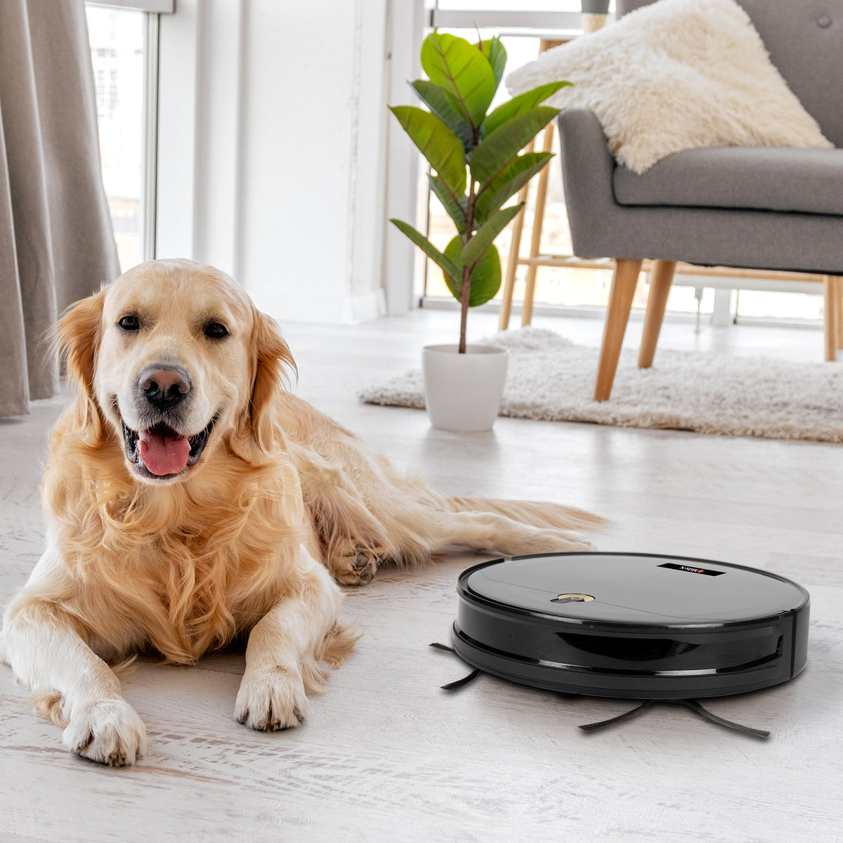 Milex Robot Vacuum Cleaner+Mop Kit | Milex South Africa